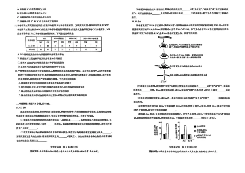 华大新高考联盟2025届高三下学期3月教学质量测评生物_2025年3月_250329华大新高考联盟2025届高三下学期3月教学质量测评（全科）_华大新高考联盟2025届高三下学期3月教学质量测评生物