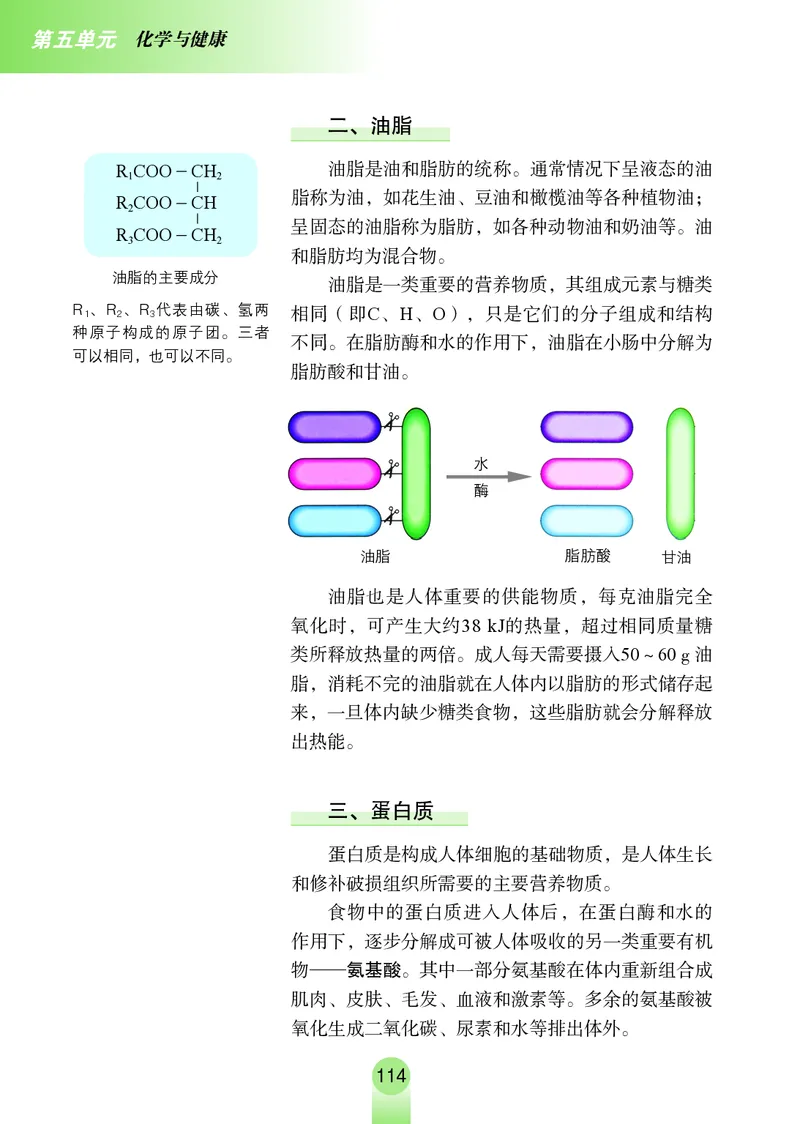 鲁教版9年级化学全一册高清教材54制_4-教培资料-26年最新资料-同步更新_初中高中教资_03科三专项（进去保存报考的学科即可）_102025初中科目（全）电子教材