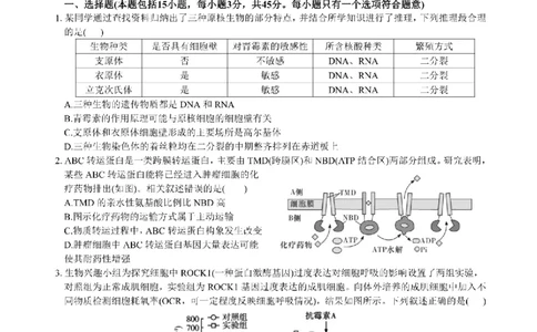 决胜新高考&middot;四川名优校联盟2025届高三4月联考生物+答案_2025年4月_250403决胜新高考&middot;四川名优校联盟2025届高三4月联考
