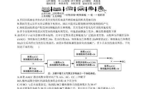 决胜新高考&middot;四川名优校联盟2025届高三4月联考生物+答案_2025年4月_250403决胜新高考&middot;四川名优校联盟2025届高三4月联考