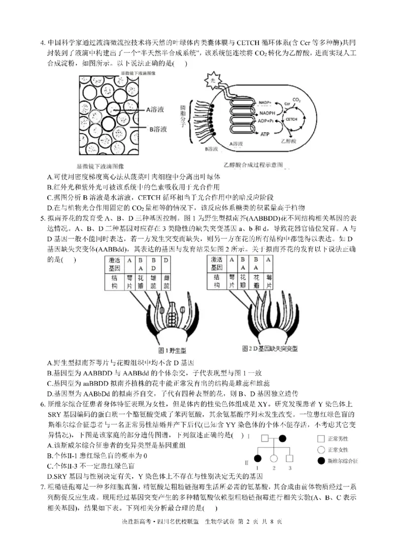 决胜新高考&middot;四川名优校联盟2025届高三4月联考生物+答案_2025年4月_250403决胜新高考&middot;四川名优校联盟2025届高三4月联考