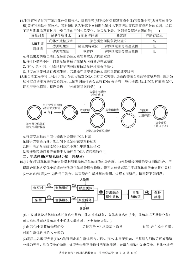 决胜新高考&middot;四川名优校联盟2025届高三4月联考生物+答案_2025年4月_250403决胜新高考&middot;四川名优校联盟2025届高三4月联考