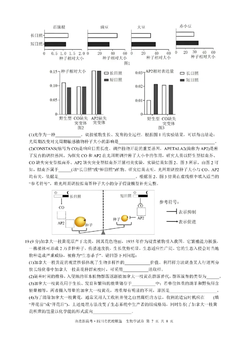 决胜新高考&middot;四川名优校联盟2025届高三4月联考生物+答案_2025年4月_250403决胜新高考&middot;四川名优校联盟2025届高三4月联考