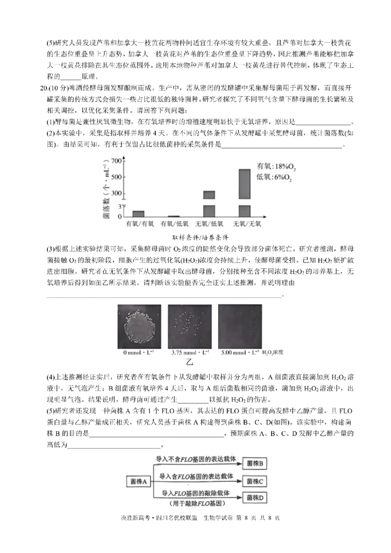 决胜新高考&middot;四川名优校联盟2025届高三4月联考生物+答案_2025年4月_250403决胜新高考&middot;四川名优校联盟2025届高三4月联考