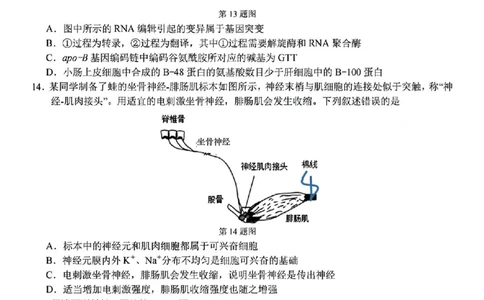 2025浙江省精诚联盟适应性联考-生物试卷_2025年5月_250518浙江省精诚联盟联考-2024学年第二学期浙江省精诚联盟适应性联考（全科）
