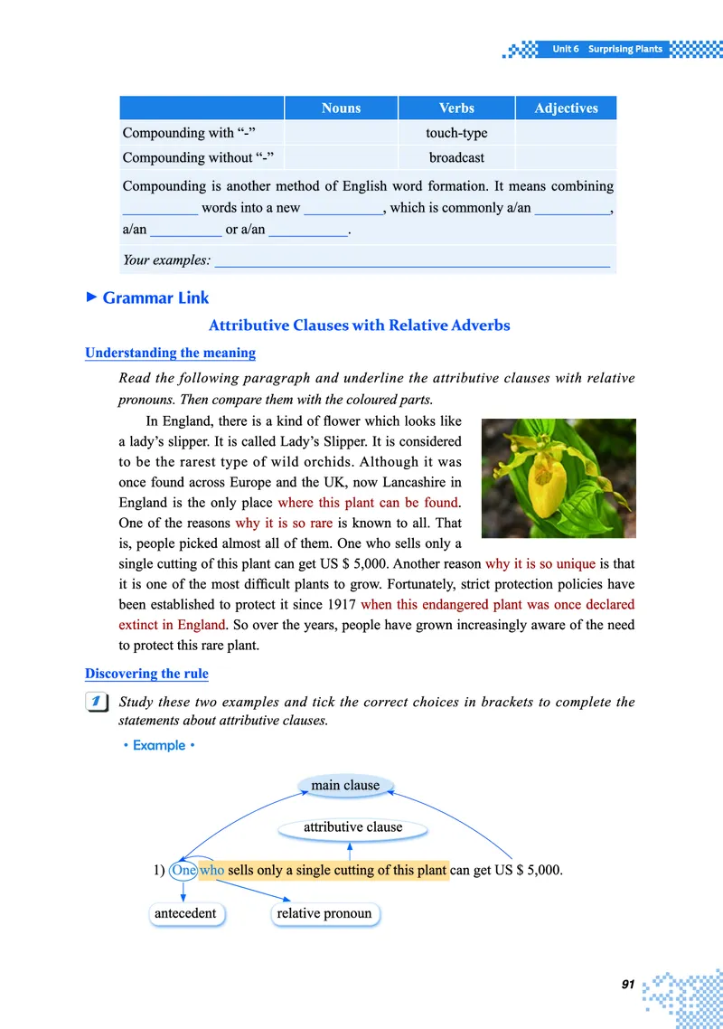 重大版英语必修第一册高清教材_4-教培资料-26年最新资料-同步更新_初中高中教资_03科三专项（进去保存报考的学科即可）_02科三专项（笔记真题思维导图教学设计版本二）