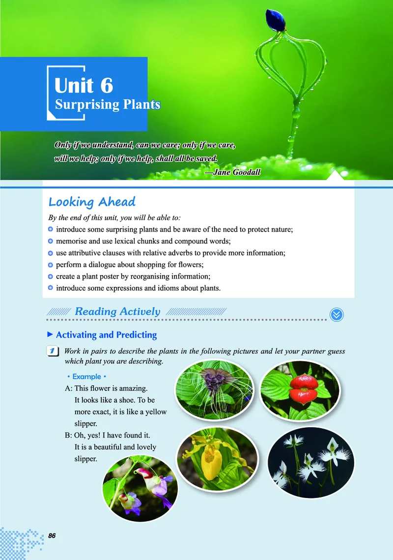 重大版英语必修第一册高清教材_4-教培资料-26年最新资料-同步更新_初中高中教资_03科三专项（进去保存报考的学科即可）_02科三专项（笔记真题思维导图教学设计版本二）