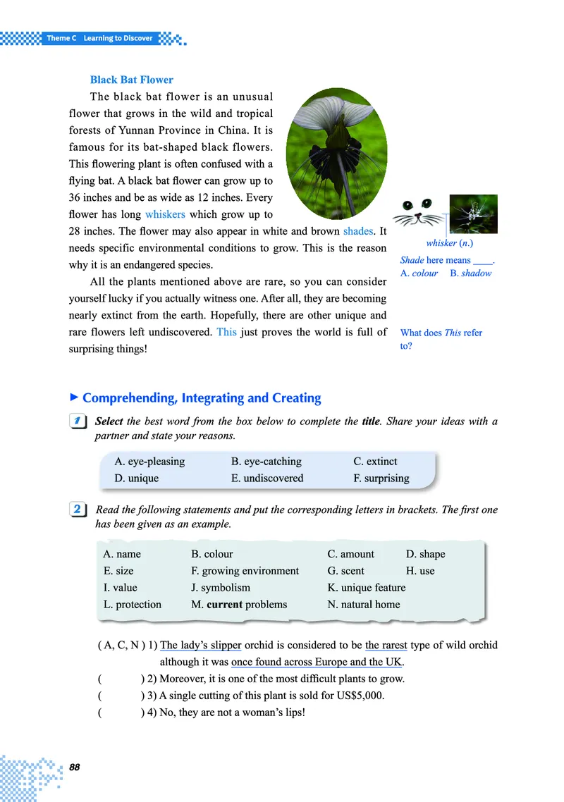 重大版英语必修第一册高清教材_4-教培资料-26年最新资料-同步更新_初中高中教资_03科三专项（进去保存报考的学科即可）_02科三专项（笔记真题思维导图教学设计版本二）