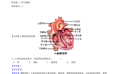 辽宁省沈阳市2018年中考生物真题试题（含解析）_中考真题_8.生物中考真题2015-2024年_2018年全国中考生物141份