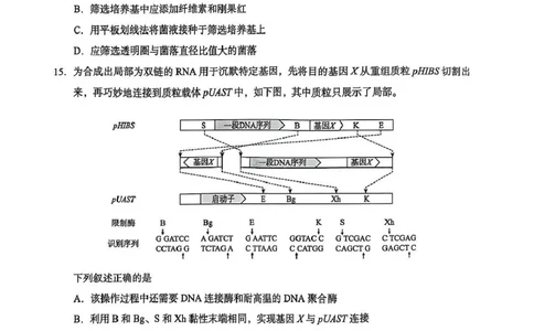 2025年北京市海淀区高三二模-生物+答案_2025年5月_250512北京市海淀区2024-2025学年高三下学期期末练习(二模)（全科）