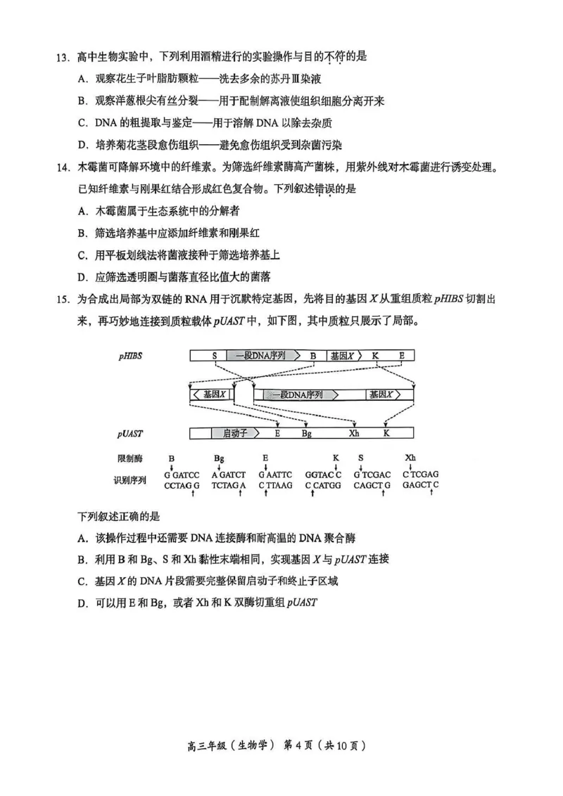 2025年北京市海淀区高三二模-生物+答案_2025年5月_250512北京市海淀区2024-2025学年高三下学期期末练习(二模)（全科）