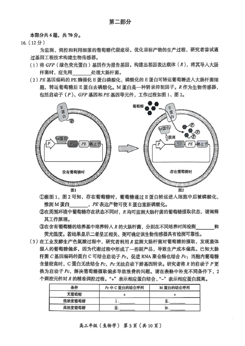 2025年北京市海淀区高三二模-生物+答案_2025年5月_250512北京市海淀区2024-2025学年高三下学期期末练习(二模)（全科）