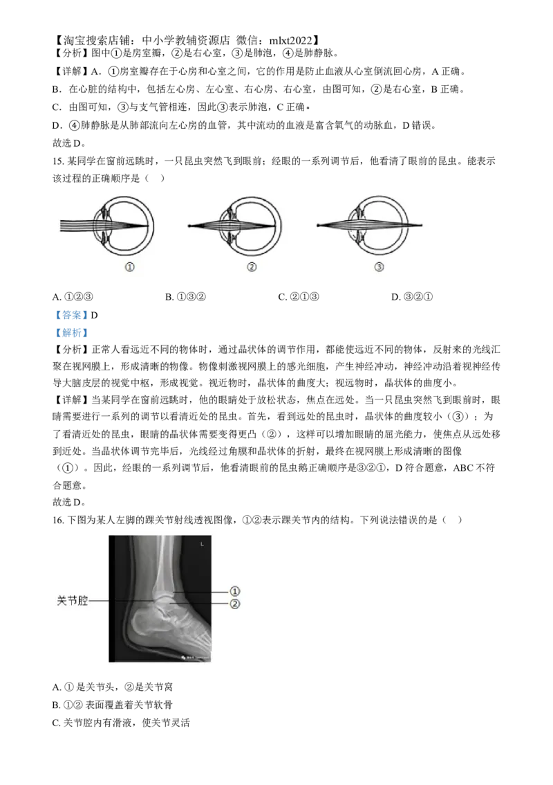 精品解析：2024年河北省八年级中考生物真题（解析版）_中考真题_8.生物中考真题2015-2024年_2024年中考生物真题_精品解析：2024年河北省八年级中考生物真题