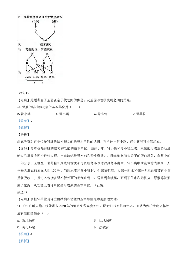 精品解析：江苏省盐城市2020年中考生物试题（解析版）_中考真题_8.生物中考真题2015-2024年_2020生物真题74份_精品解析：江苏省盐城市2020年中考生物试题