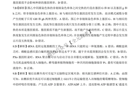 二轮二L卷生物学答案_2025年4月_2504252025届河南省百师联盟高三下学期4月二轮复习联考_生物