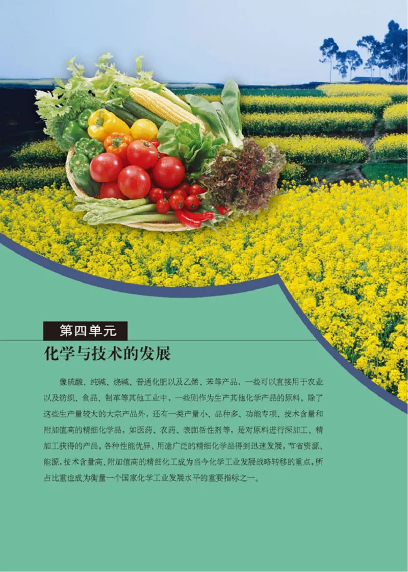 高中化学选修2化学与技术_4-教培资料-26年最新资料-同步更新_初中高中教资_03科三专项（进去保存报考的学科即可）_02科三专项（笔记真题思维导图教学设计版本二）
