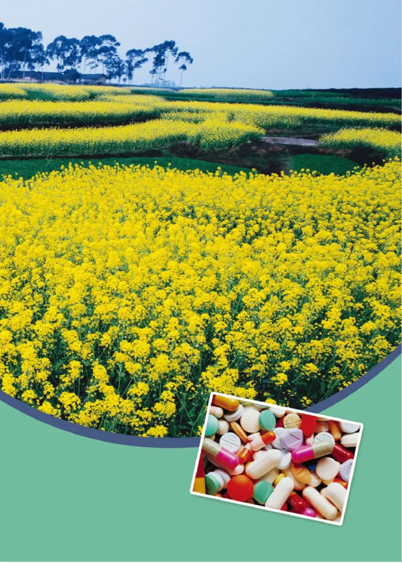 高中化学选修2化学与技术_4-教培资料-26年最新资料-同步更新_初中高中教资_03科三专项（进去保存报考的学科即可）_02科三专项（笔记真题思维导图教学设计版本二）