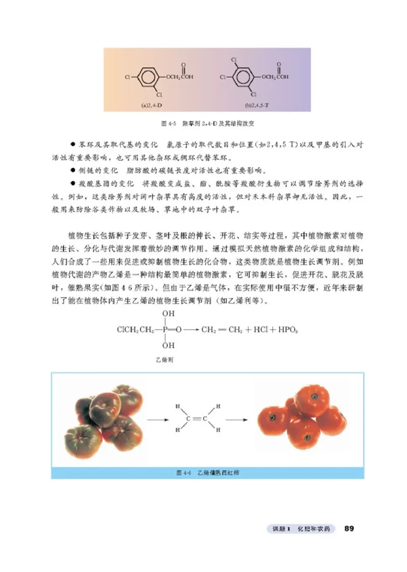 高中化学选修2化学与技术_4-教培资料-26年最新资料-同步更新_初中高中教资_03科三专项（进去保存报考的学科即可）_02科三专项（笔记真题思维导图教学设计版本二）