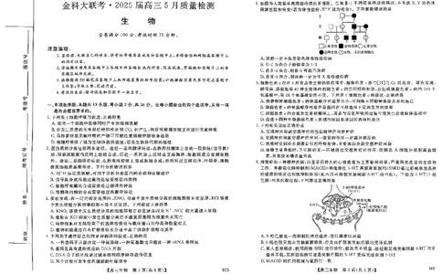 2025届河北省高三下学期金科大联考5月份质量检测生物试卷_2025年5月_0521河北省金科大联考2025届高三下学期5月份质量检测_2025届河北省高三下学期金科大联考5月份质量检测生物试卷
