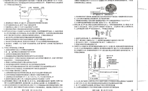 2025届河北省高三下学期金科大联考5月份质量检测生物试卷_2025年5月_0521河北省金科大联考2025届高三下学期5月份质量检测_2025届河北省高三下学期金科大联考5月份质量检测生物试卷