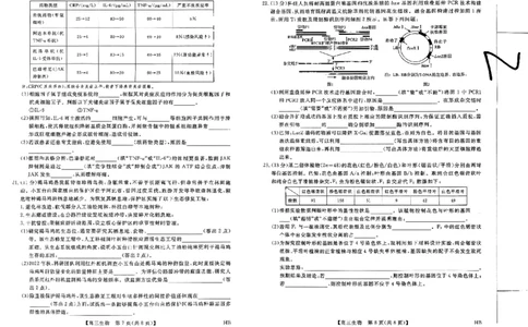 2025届河北省高三下学期金科大联考5月份质量检测生物试卷_2025年5月_0521河北省金科大联考2025届高三下学期5月份质量检测_2025届河北省高三下学期金科大联考5月份质量检测生物试卷