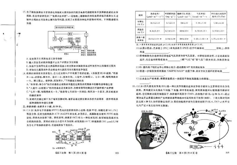 2025届河北省高三下学期金科大联考5月份质量检测生物试卷_2025年5月_0521河北省金科大联考2025届高三下学期5月份质量检测_2025届河北省高三下学期金科大联考5月份质量检测生物试卷