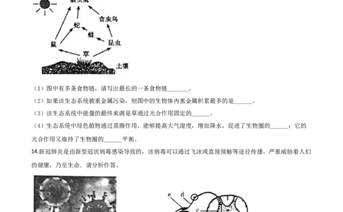 精品解析：青海省2020年中考生物试题（原卷版）_中考真题_8.生物中考真题2015-2024年_2020生物真题74份_2020年中考真题精品解析生物(青海卷)精编word版
