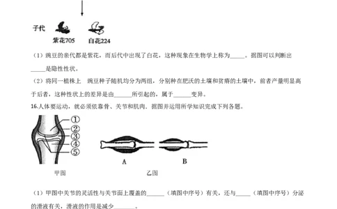精品解析：青海省2020年中考生物试题（原卷版）_中考真题_8.生物中考真题2015-2024年_2020生物真题74份_2020年中考真题精品解析生物(青海卷)精编word版