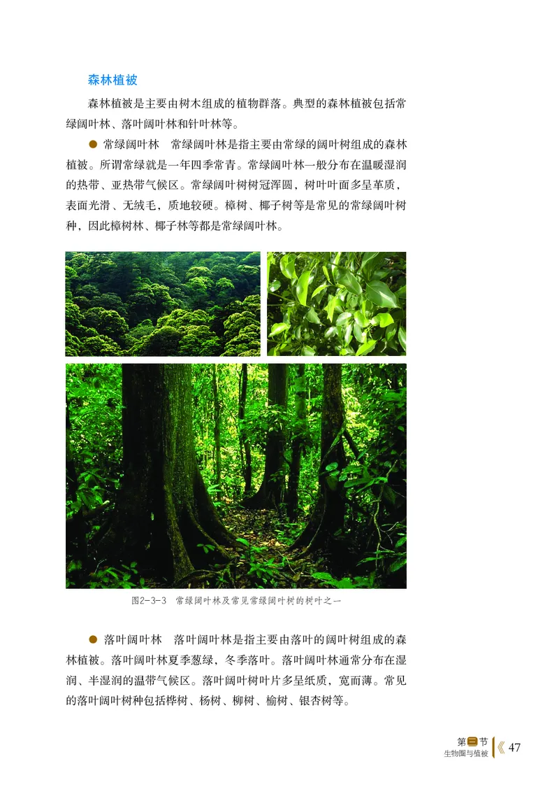 鲁教版地理必修第一册高清教材_4-教培资料-26年最新资料-同步更新_初中高中教资_03科三专项（进去保存报考的学科即可）_02科三专项（笔记真题思维导图教学设计版本二）