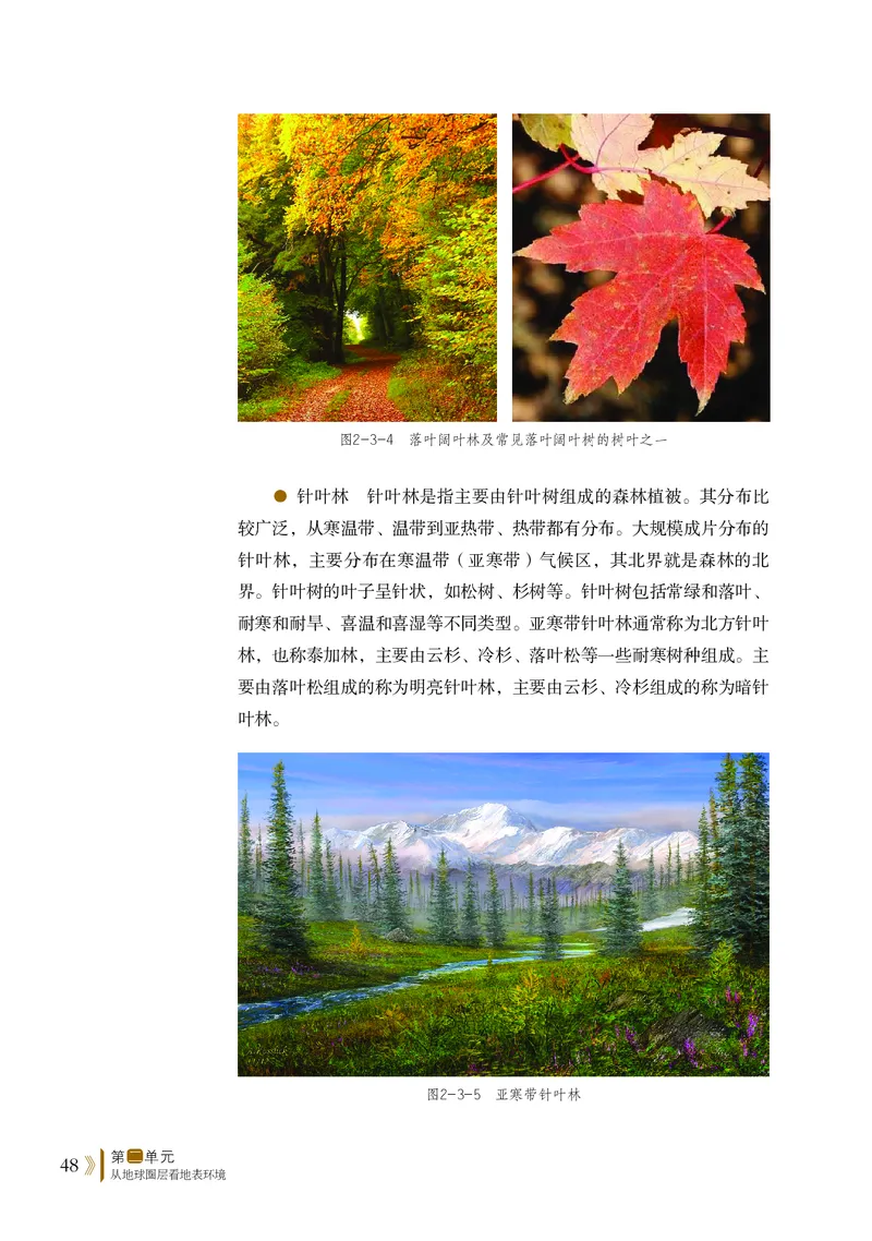 鲁教版地理必修第一册高清教材_4-教培资料-26年最新资料-同步更新_初中高中教资_03科三专项（进去保存报考的学科即可）_02科三专项（笔记真题思维导图教学设计版本二）