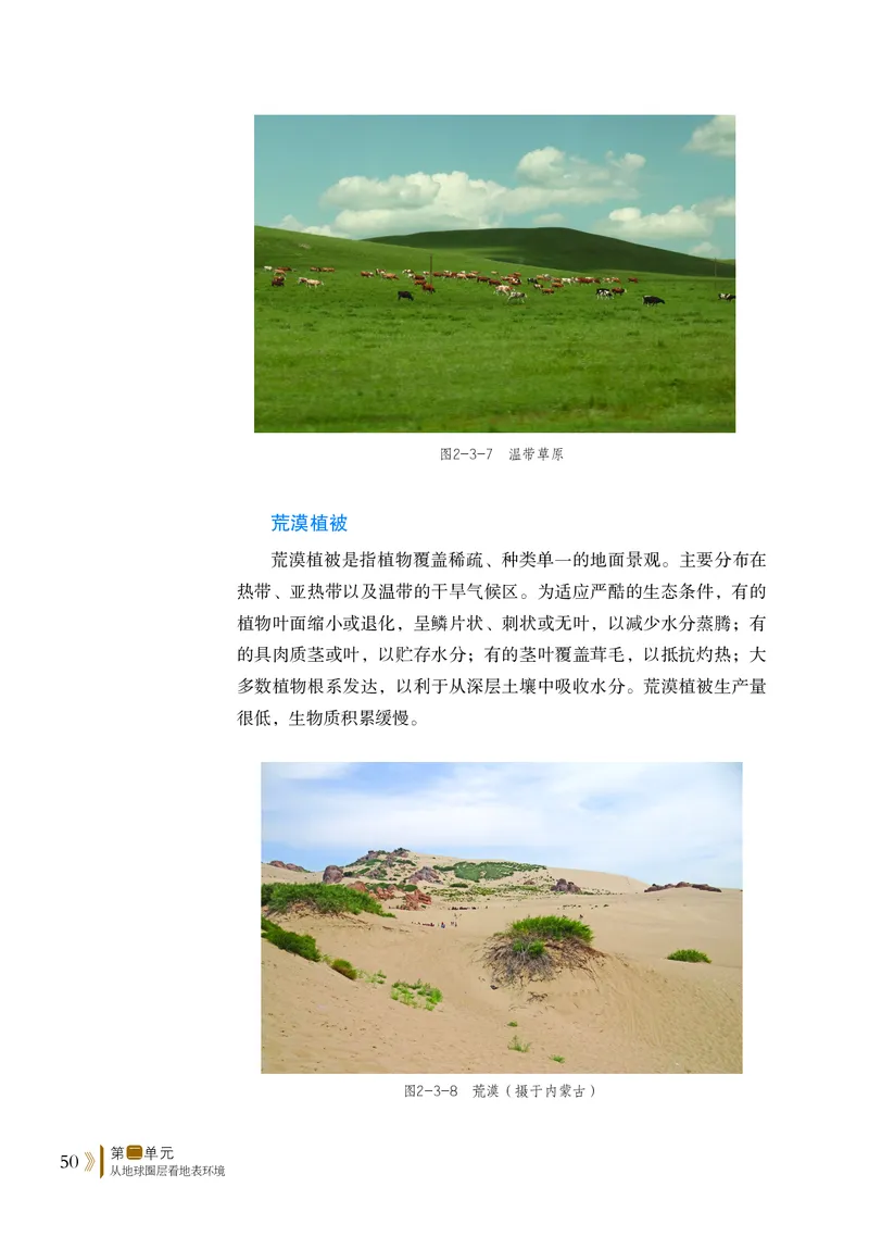 鲁教版地理必修第一册高清教材_4-教培资料-26年最新资料-同步更新_初中高中教资_03科三专项（进去保存报考的学科即可）_02科三专项（笔记真题思维导图教学设计版本二）