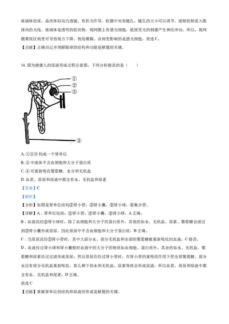 精品解析：广东省2021年中考生物试题（解析版）_中考真题_8.生物中考真题2015-2024年_2021中考生物真题64份_2021年广东_精品解析：广东省2021年中考生物试题
