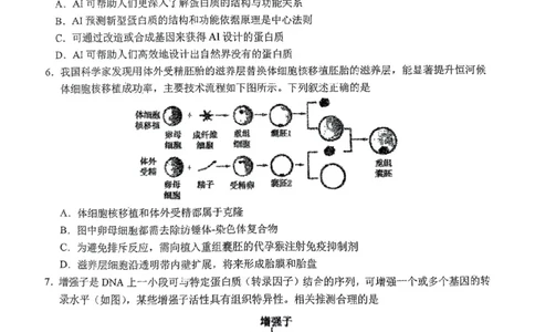 东北师大附中2025届高三下学期期初考试-生物试题+答案_2025年2月_250224吉林省长春市东北师范大学附属中学2024-2025学年高三下学期开学考试