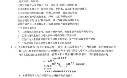 东北师大附中2025届高三下学期期初考试-生物试题+答案_2025年2月_250224吉林省长春市东北师范大学附属中学2024-2025学年高三下学期开学考试