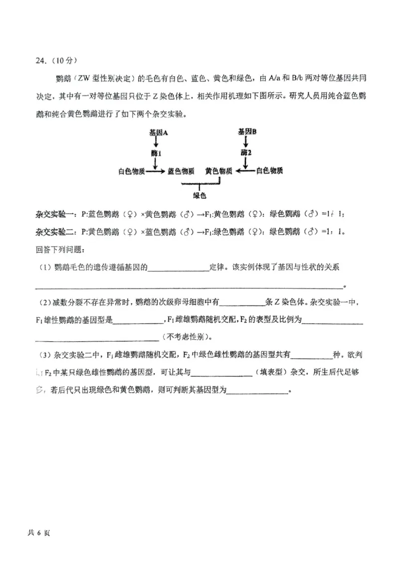 东北师大附中2025届高三下学期期初考试-生物试题+答案_2025年2月_250224吉林省长春市东北师范大学附属中学2024-2025学年高三下学期开学考试