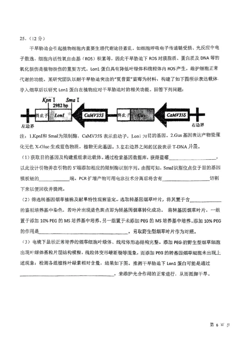 东北师大附中2025届高三下学期期初考试-生物试题+答案_2025年2月_250224吉林省长春市东北师范大学附属中学2024-2025学年高三下学期开学考试