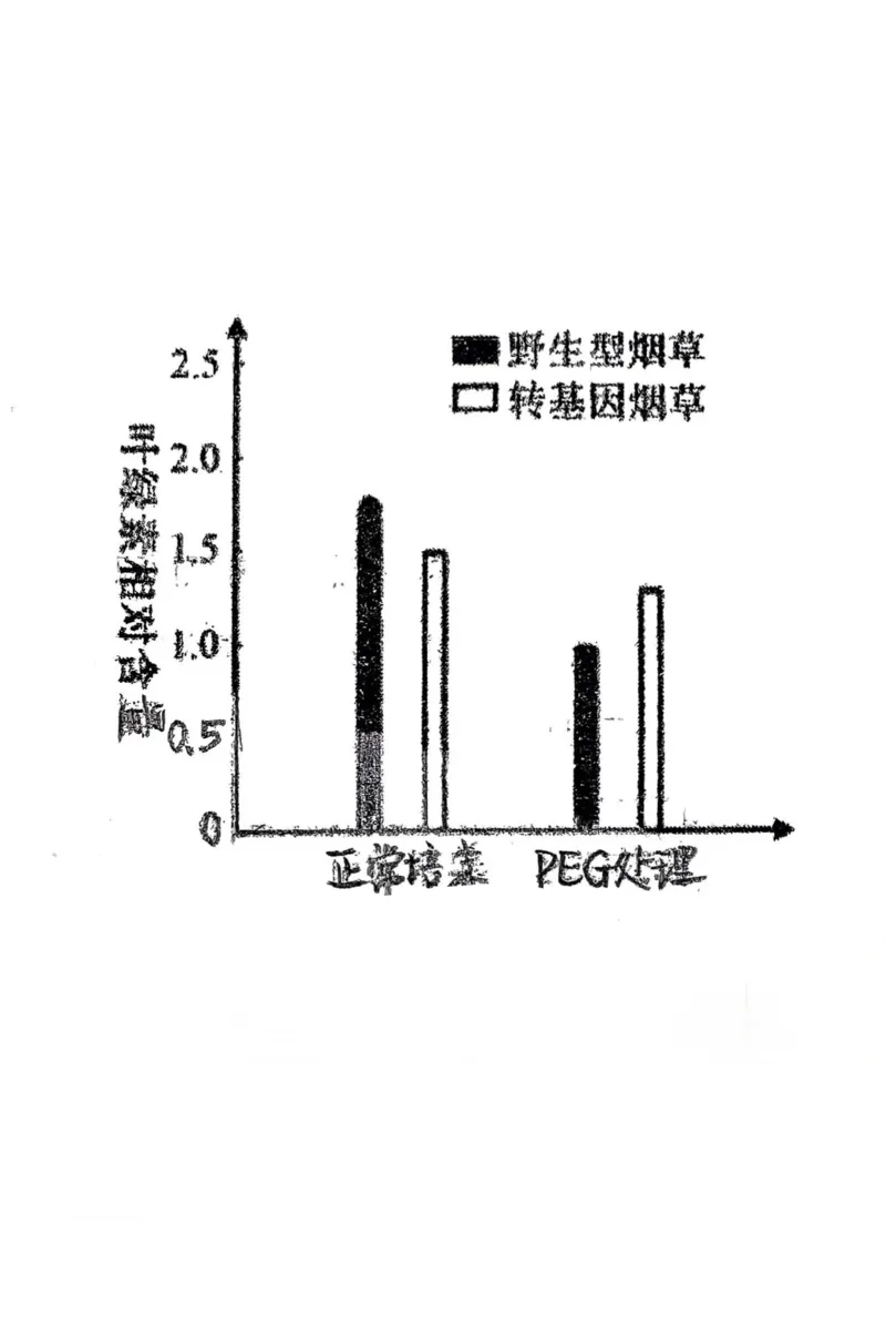 东北师大附中2025届高三下学期期初考试-生物试题+答案_2025年2月_250224吉林省长春市东北师范大学附属中学2024-2025学年高三下学期开学考试
