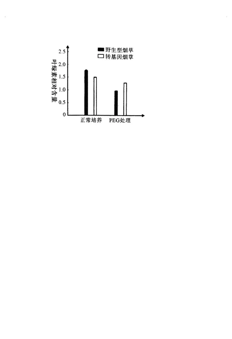 东北师大附中2025届高三下学期期初考试-生物试题+答案_2025年2月_250224吉林省长春市东北师范大学附属中学2024-2025学年高三下学期开学考试
