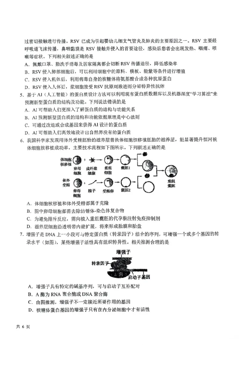 东北师大附中2025届高三下学期期初考试-生物试题+答案_2025年2月_250224吉林省长春市东北师范大学附属中学2024-2025学年高三下学期开学考试