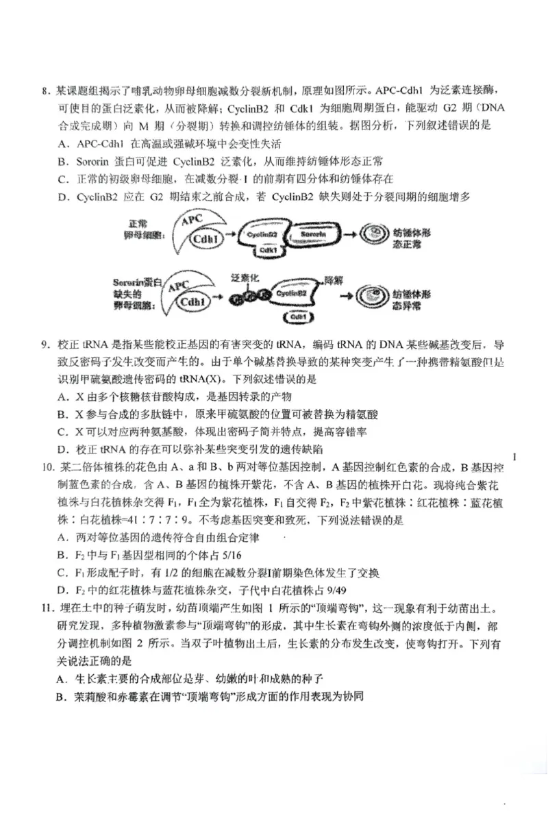 东北师大附中2025届高三下学期期初考试-生物试题+答案_2025年2月_250224吉林省长春市东北师范大学附属中学2024-2025学年高三下学期开学考试