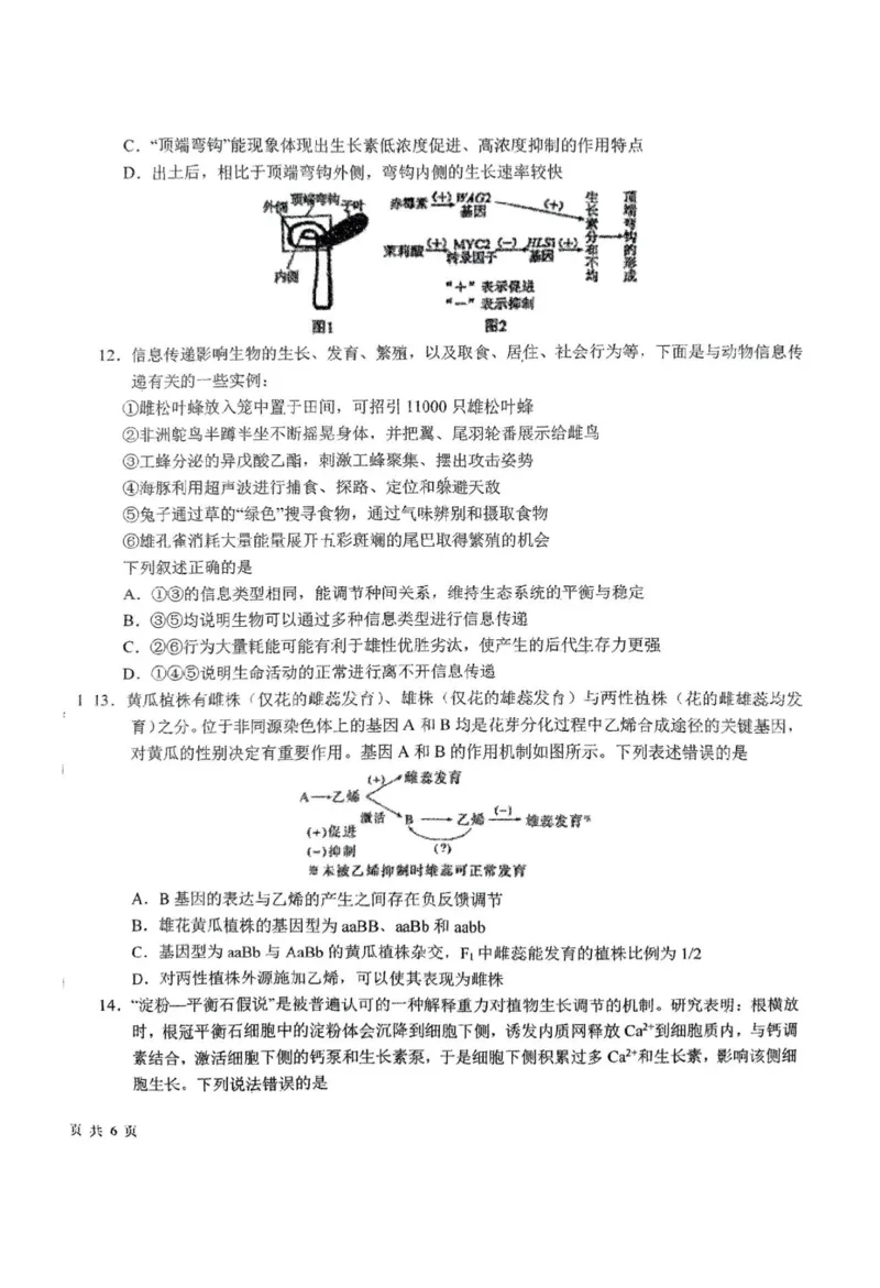 东北师大附中2025届高三下学期期初考试-生物试题+答案_2025年2月_250224吉林省长春市东北师范大学附属中学2024-2025学年高三下学期开学考试