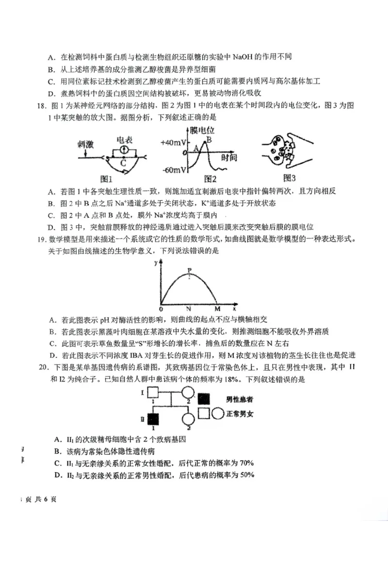 东北师大附中2025届高三下学期期初考试-生物试题+答案_2025年2月_250224吉林省长春市东北师范大学附属中学2024-2025学年高三下学期开学考试