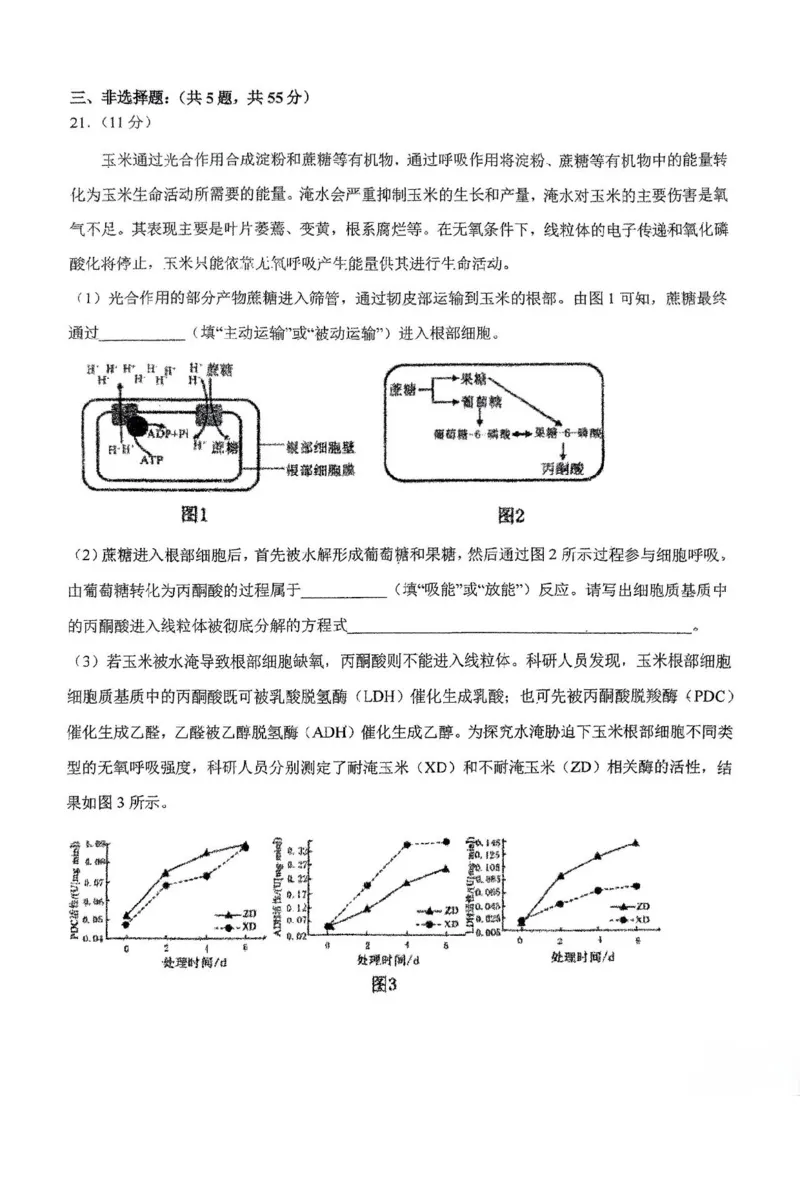 东北师大附中2025届高三下学期期初考试-生物试题+答案_2025年2月_250224吉林省长春市东北师范大学附属中学2024-2025学年高三下学期开学考试
