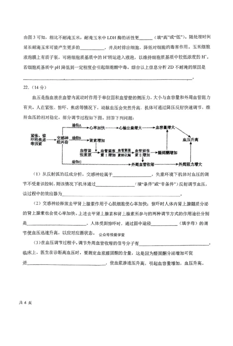 东北师大附中2025届高三下学期期初考试-生物试题+答案_2025年2月_250224吉林省长春市东北师范大学附属中学2024-2025学年高三下学期开学考试