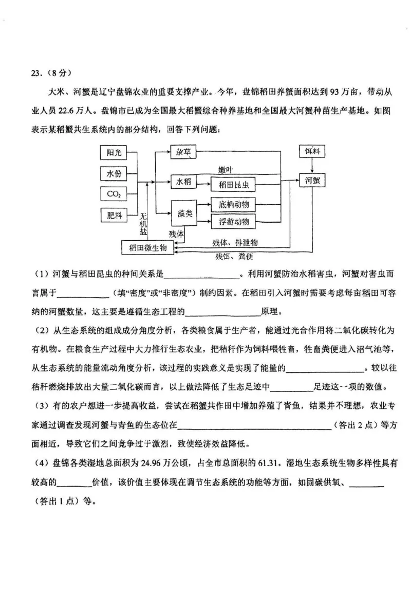 东北师大附中2025届高三下学期期初考试-生物试题+答案_2025年2月_250224吉林省长春市东北师范大学附属中学2024-2025学年高三下学期开学考试