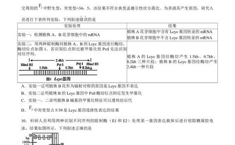 2025届福建省龙岩市高三下学期高中毕业班3月教学质量检测生物学试题（含答案）_2025年3月_250310福建省龙岩市2025届高三下学期3月教学质量检测（全科）