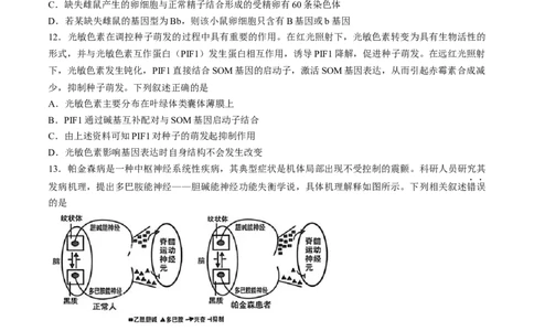 2025届福建省龙岩市高三下学期高中毕业班3月教学质量检测生物学试题（含答案）_2025年3月_250310福建省龙岩市2025届高三下学期3月教学质量检测（全科）