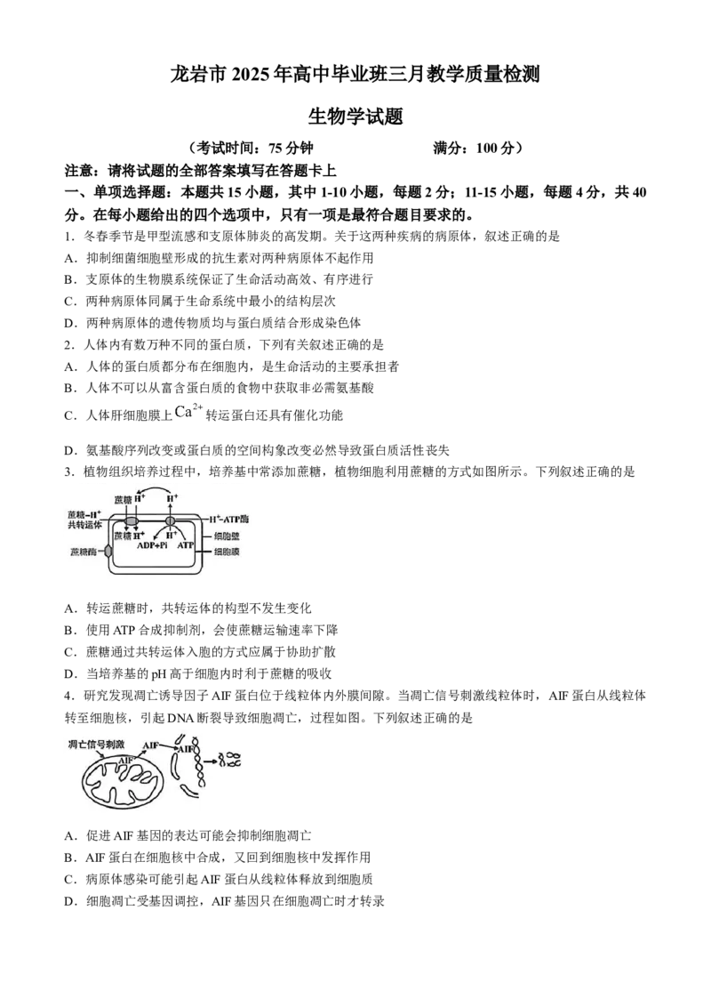 2025届福建省龙岩市高三下学期高中毕业班3月教学质量检测生物学试题（含答案）_2025年3月_250310福建省龙岩市2025届高三下学期3月教学质量检测（全科）