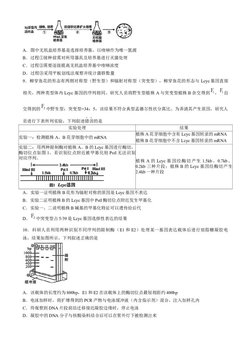 2025届福建省龙岩市高三下学期高中毕业班3月教学质量检测生物学试题（含答案）_2025年3月_250310福建省龙岩市2025届高三下学期3月教学质量检测（全科）