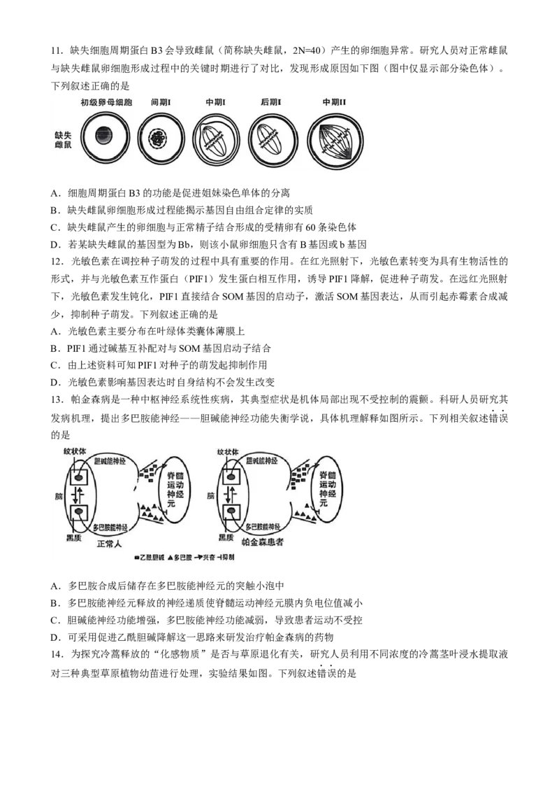 2025届福建省龙岩市高三下学期高中毕业班3月教学质量检测生物学试题（含答案）_2025年3月_250310福建省龙岩市2025届高三下学期3月教学质量检测（全科）